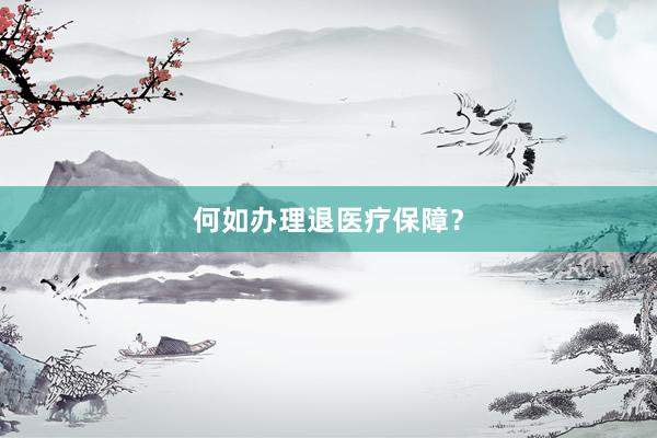 何如办理退医疗保障？