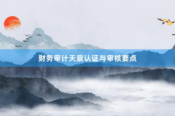 财务审计天禀认证与审核要点