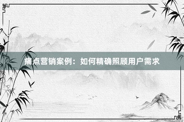 痛点营销案例：如何精确照顾用户需求